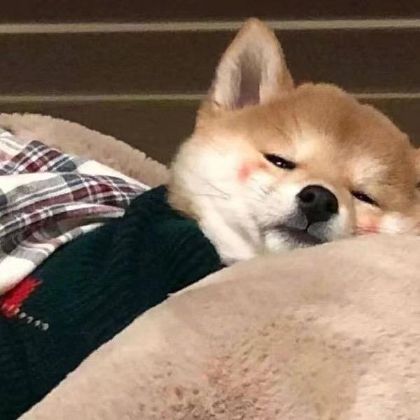 渝枫吖丨灬💋