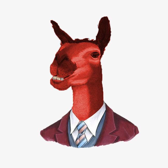 二驴篮球【正能量直播间】