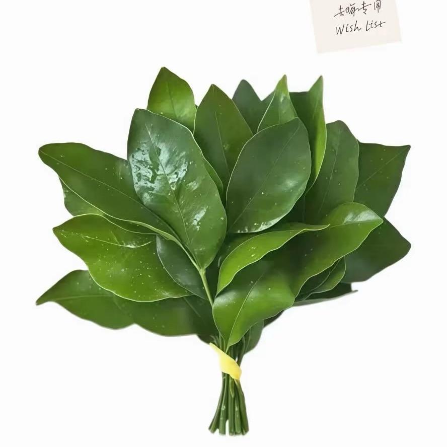 青拧