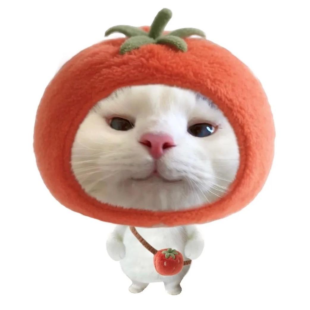 卡尔乐·奇奇拆卡