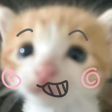 333