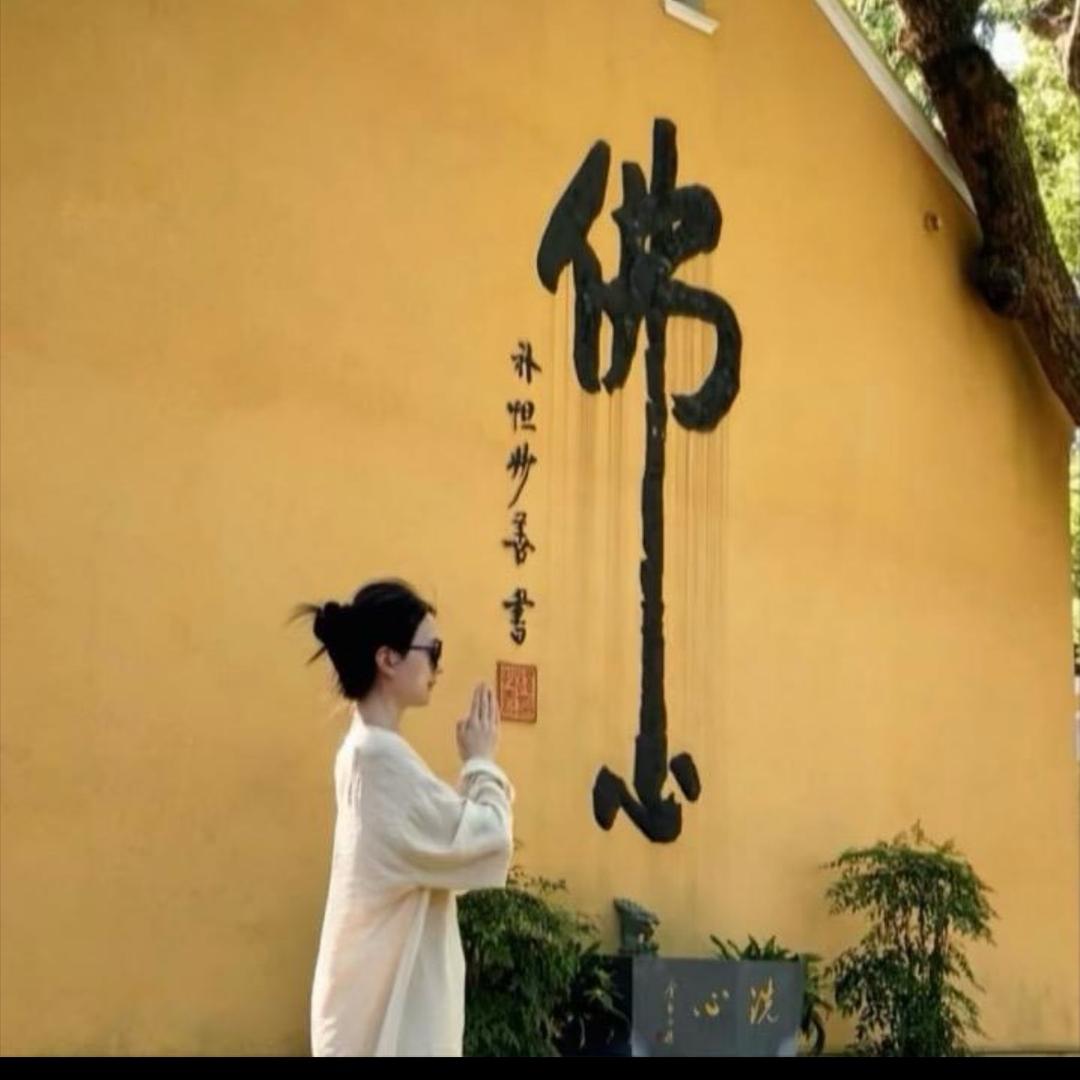 菜菜-