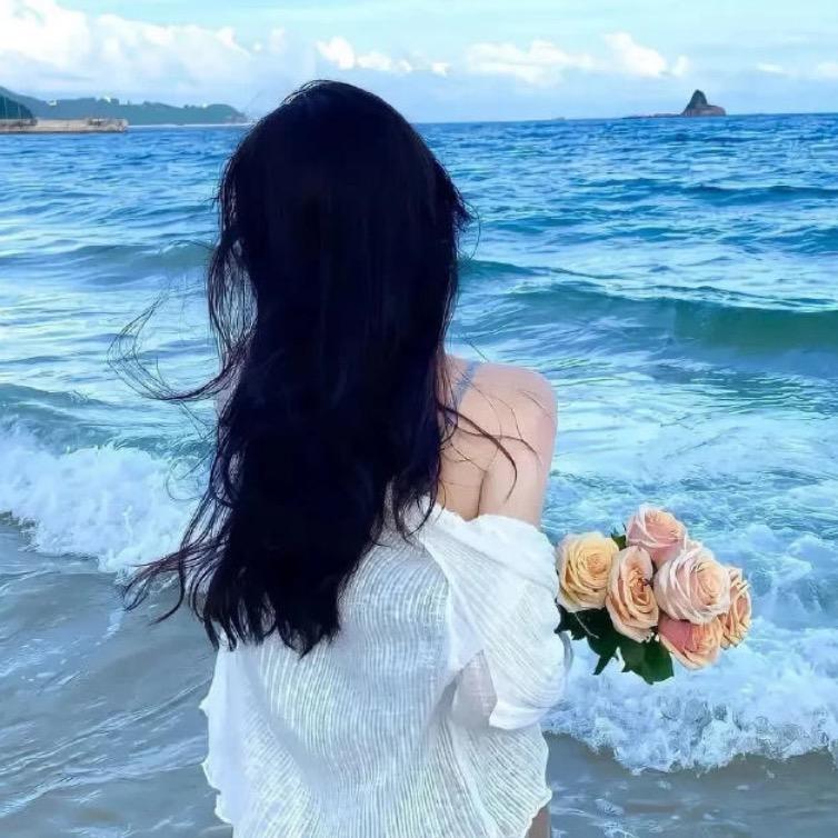海燕轻舞