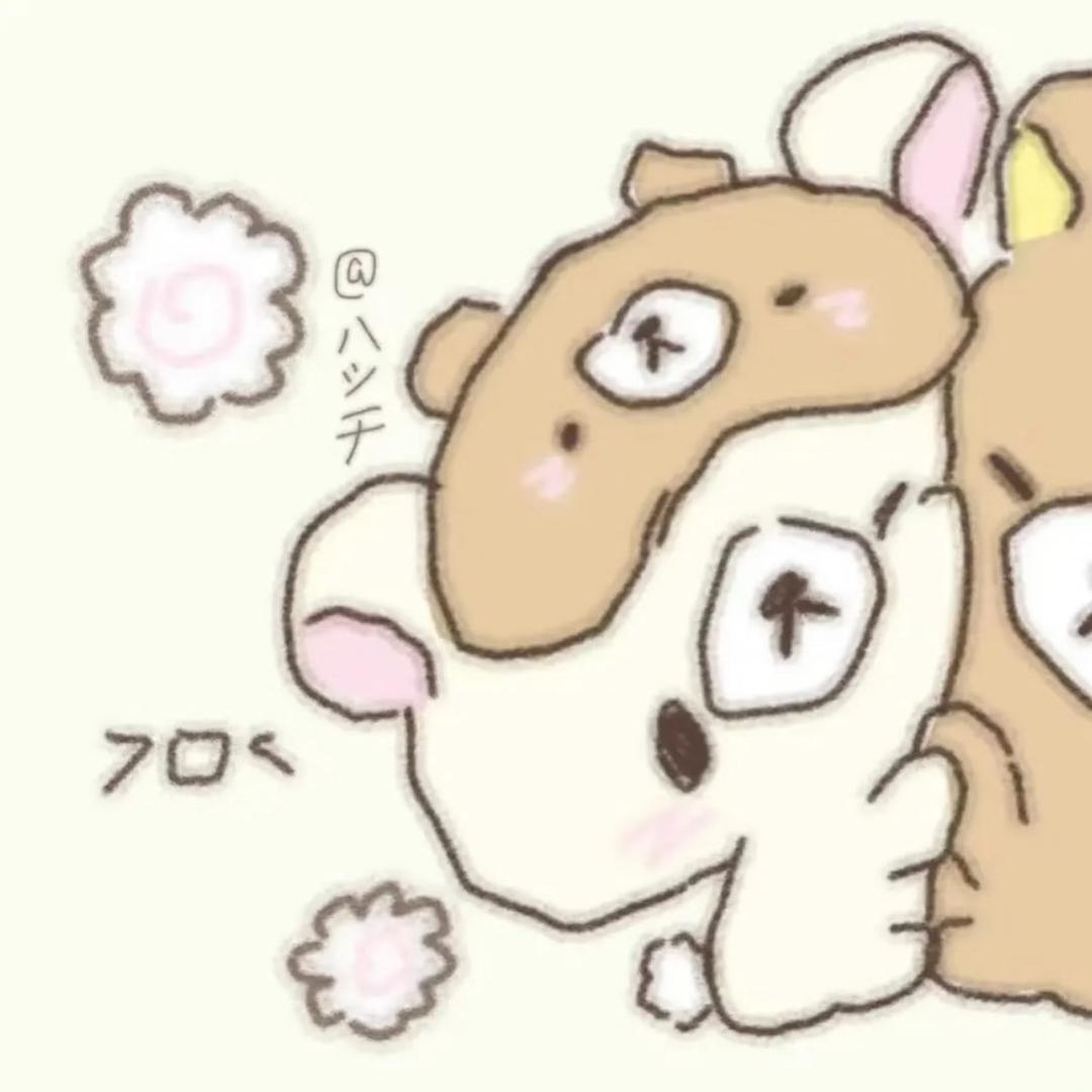 香菇老师早点睡^