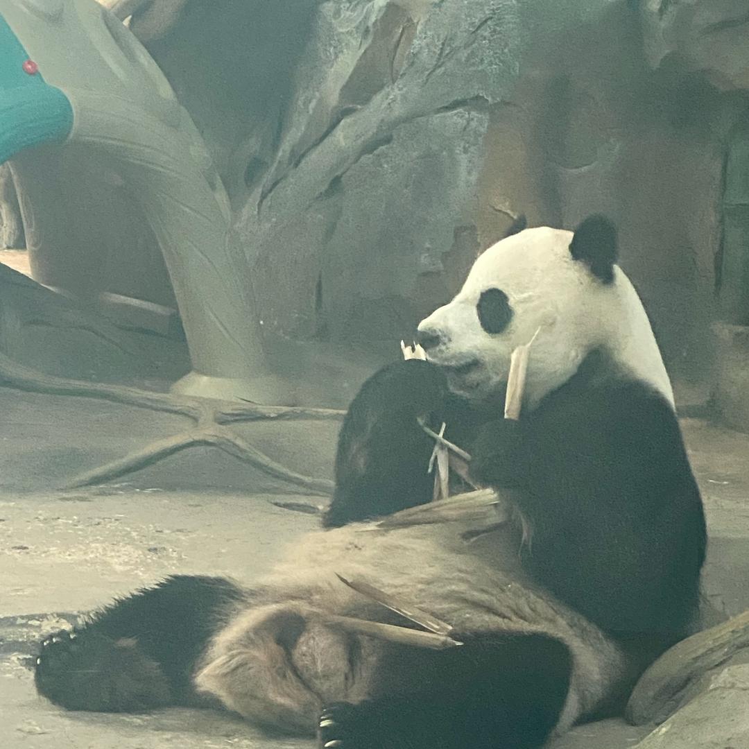辣子吃多了辣