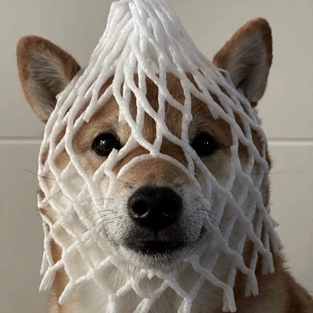 加减陈除