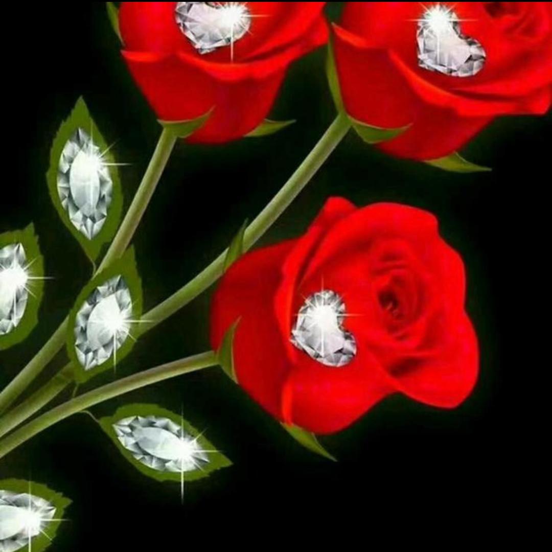 F福安平☘️☘️☘️