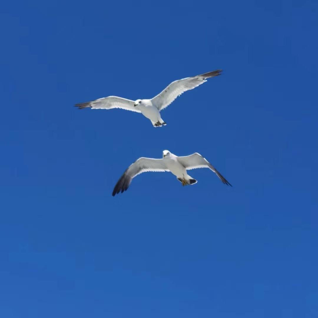 长海小高海鲜