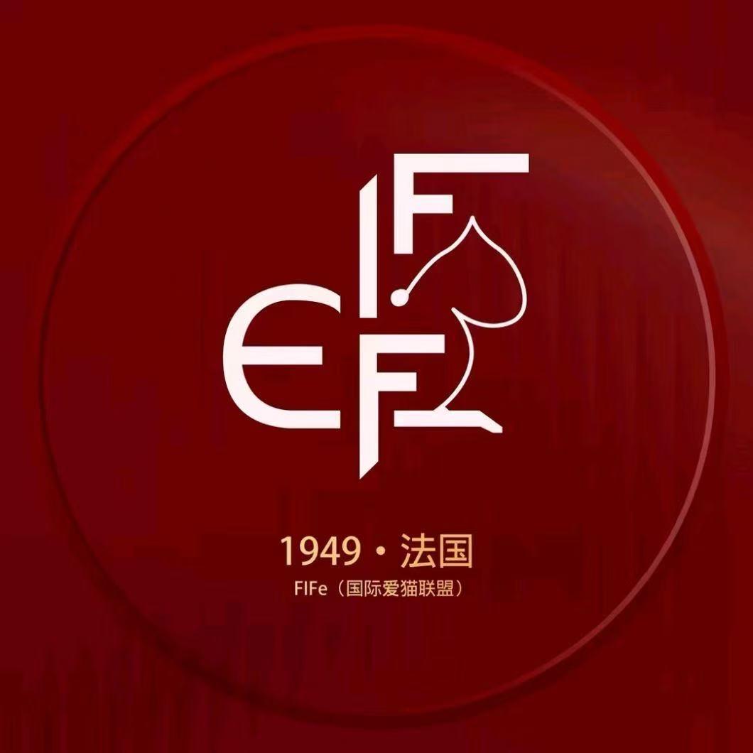 FIFe中国