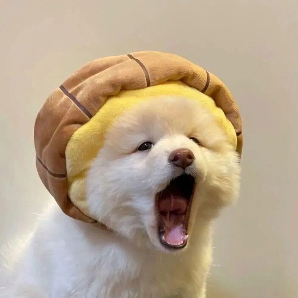 漫漫_Buu🐌