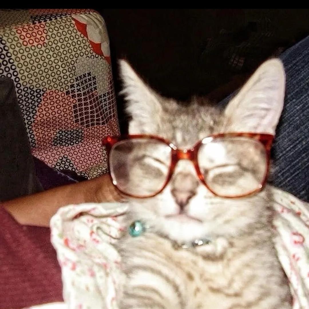 Whisker00_