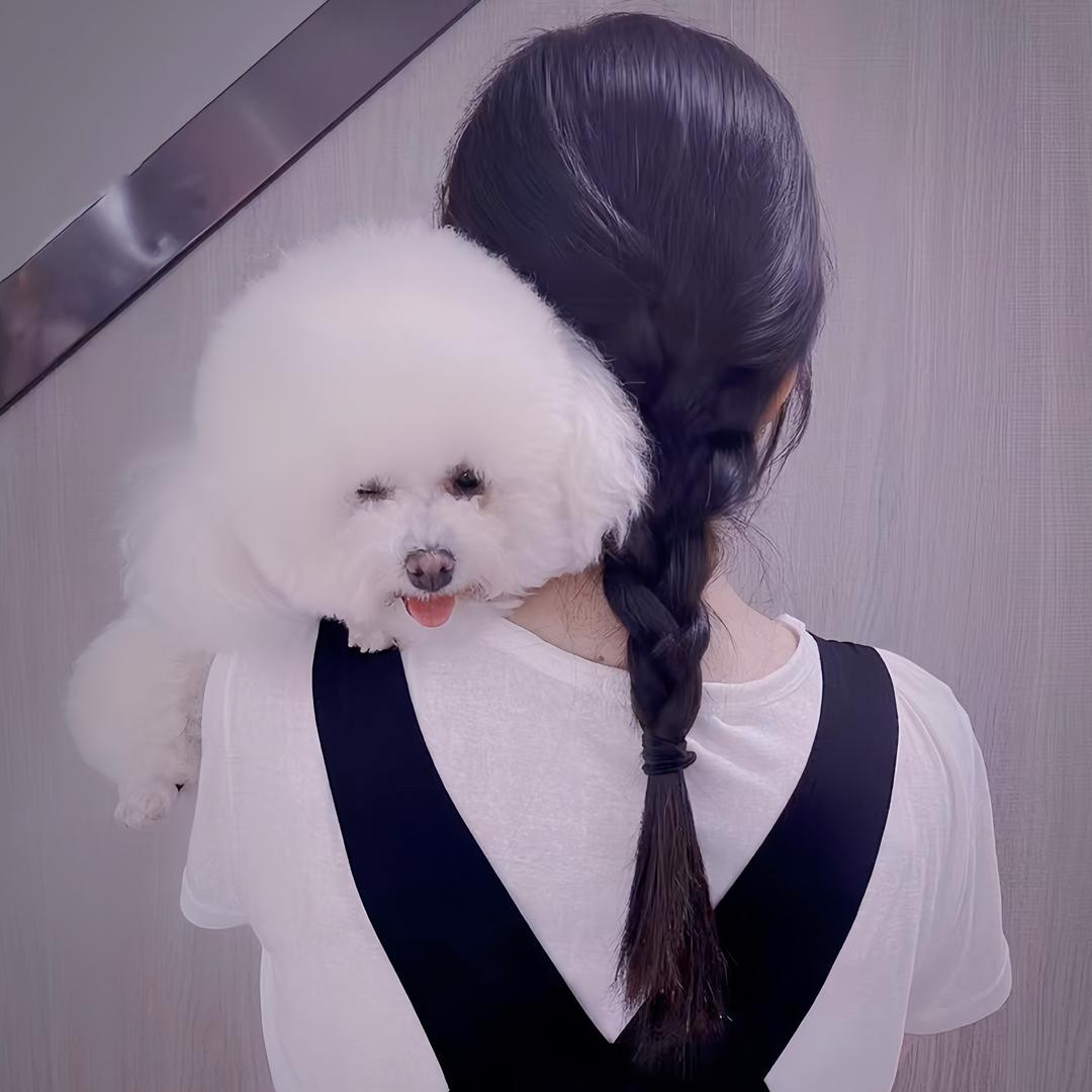 张小白👧🏻不白