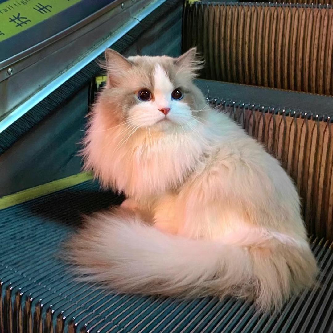 今天不