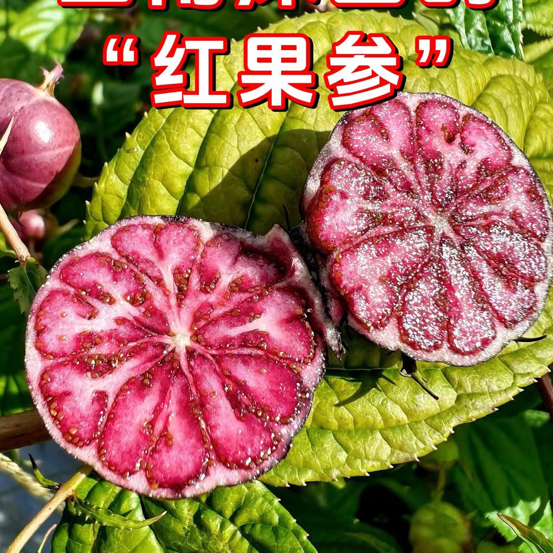 榴果拾光生鲜水果