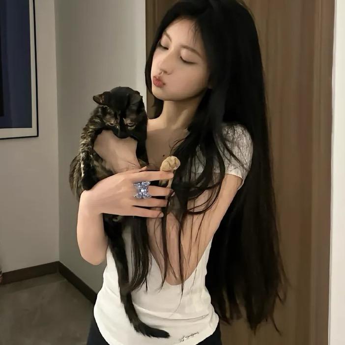情歌