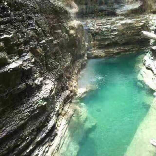 老（公）这（鸡）9（斤）