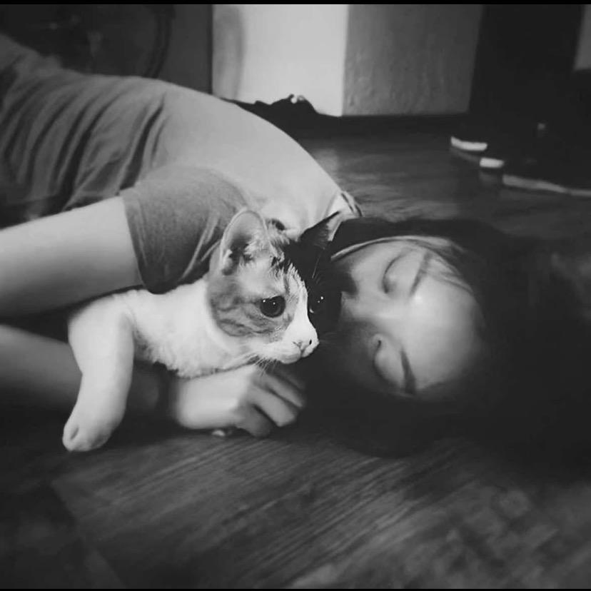 小熊.