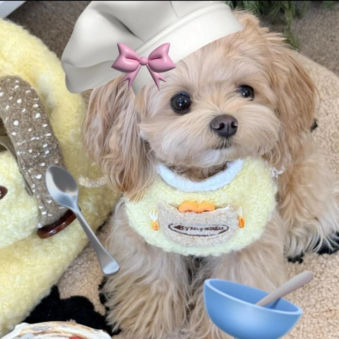 冻冻幺（不吃饼干）