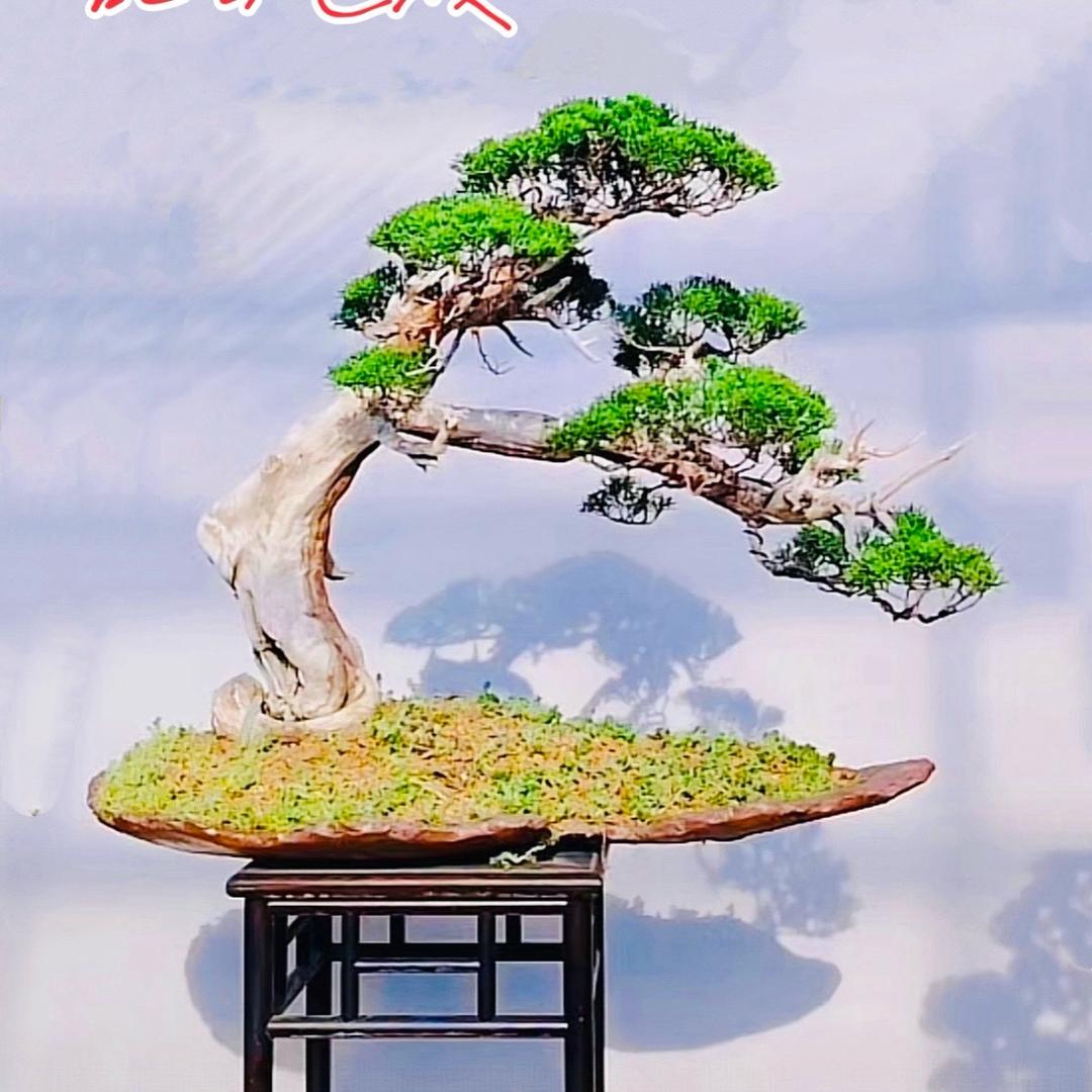 渔翁
