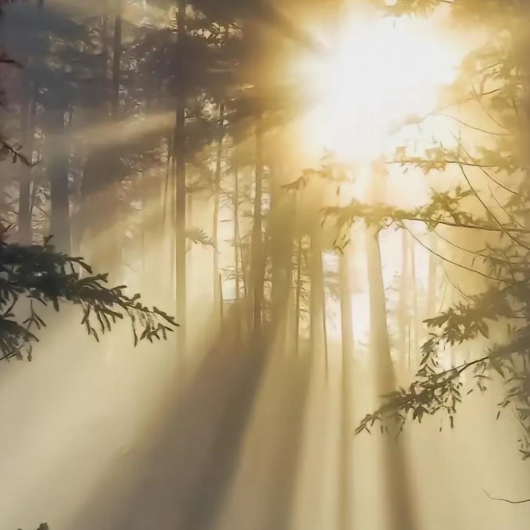 济宁阿里国际站-段新贺