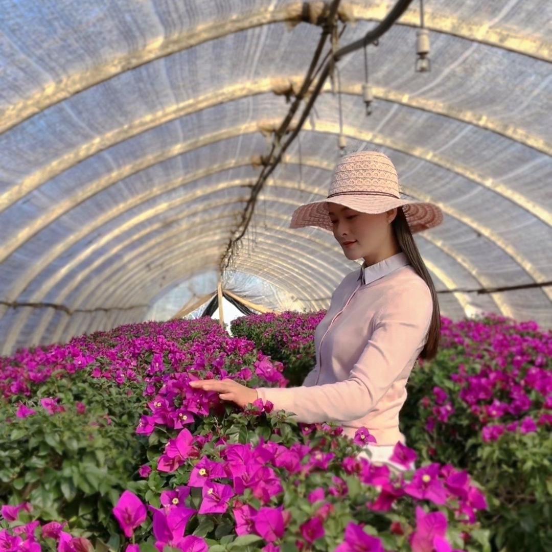 雅润花园