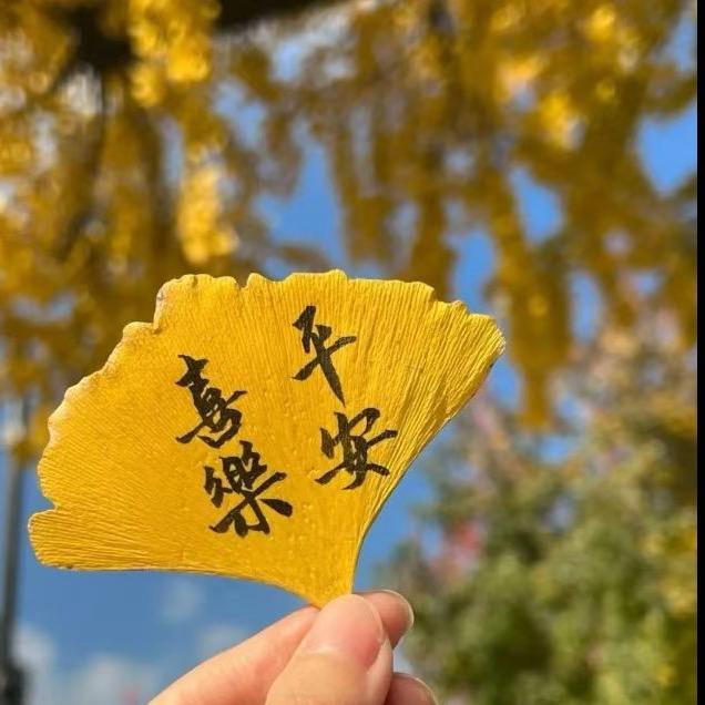 炫彩女装批发店