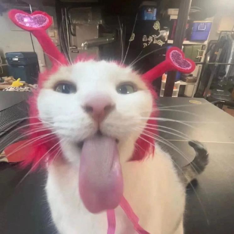 (^-^)