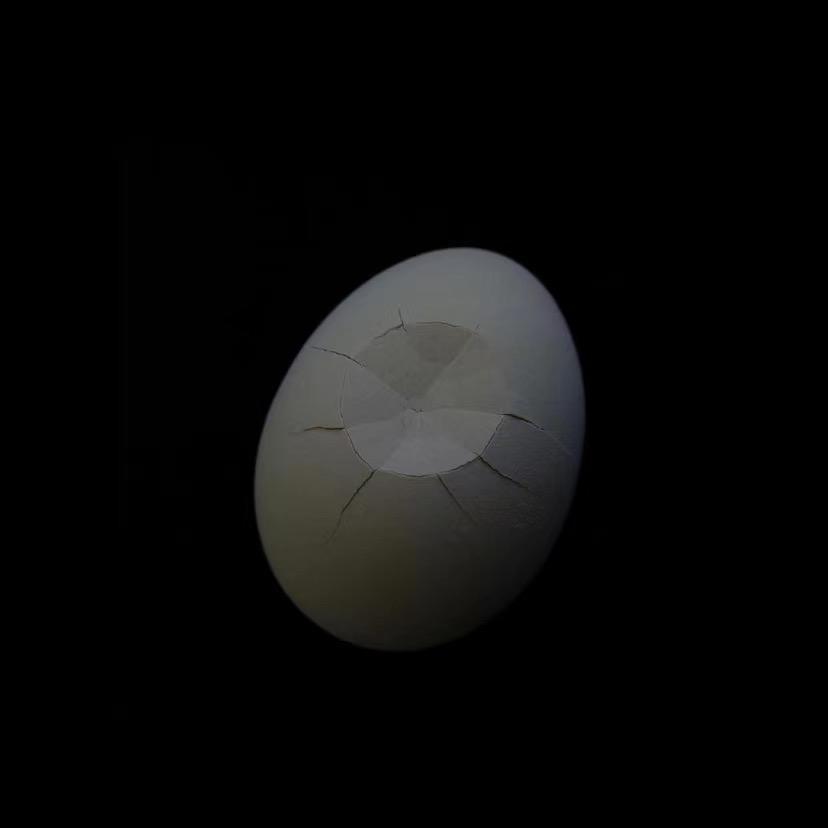 825   露营生活