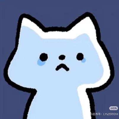 黄毛小子.