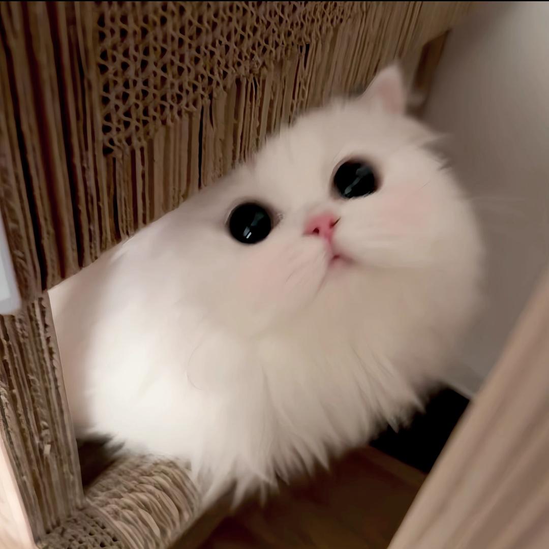 Yiii
