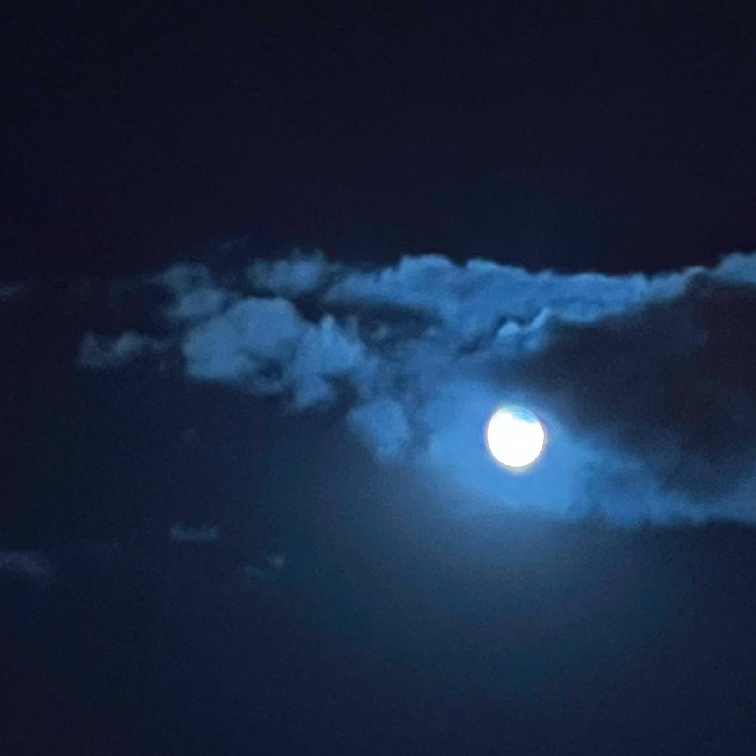 翻江倒海🌊小哪吒💫