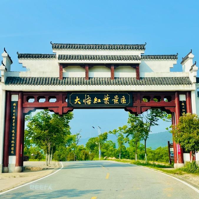 多彩四姑