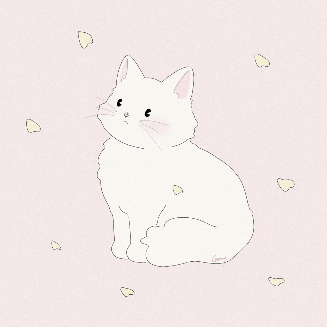 代弘怡