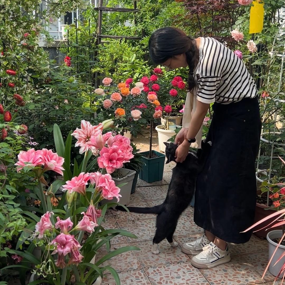 种花眼镜妹儿