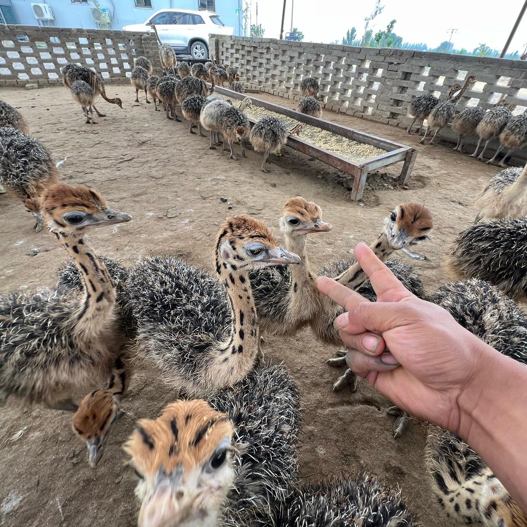 平汇农业臻选阁
