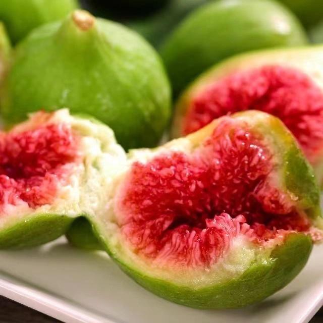 威海海啸无花果