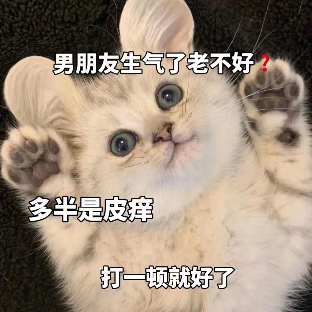 小妮子