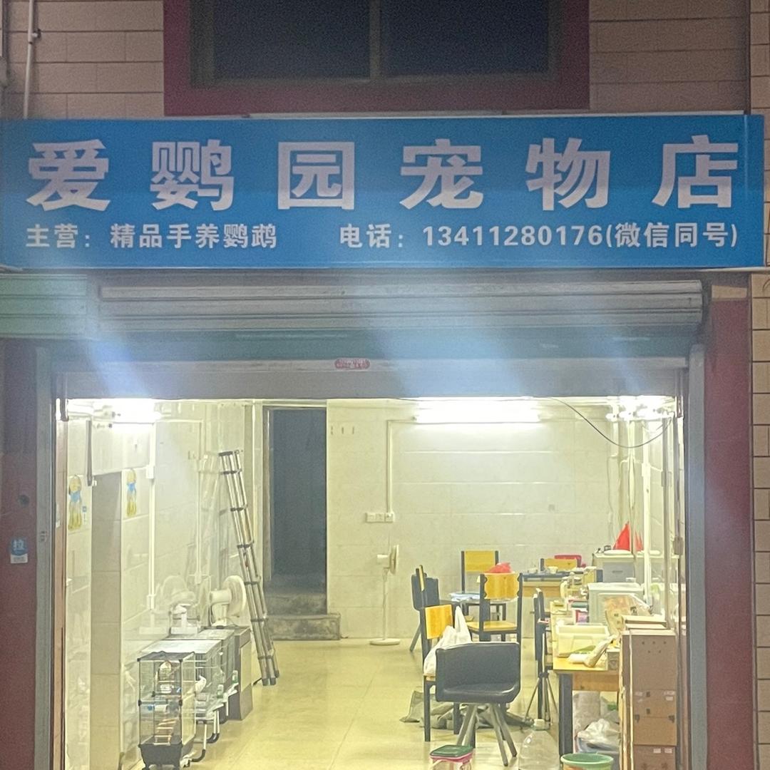 爱鹦园（手养鹦鹉）