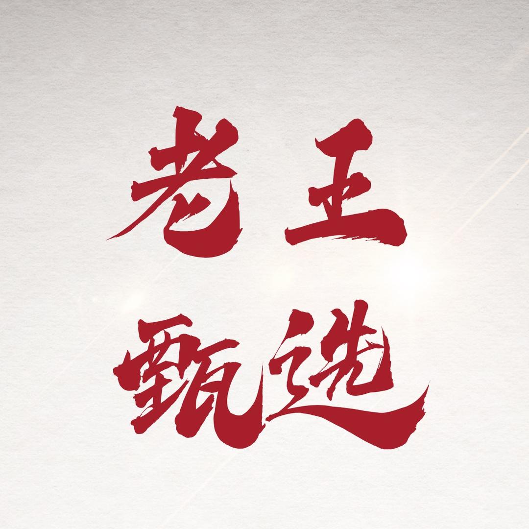 老王甄选