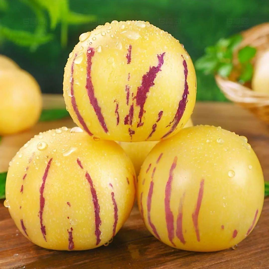 幸运鲜果一人参果