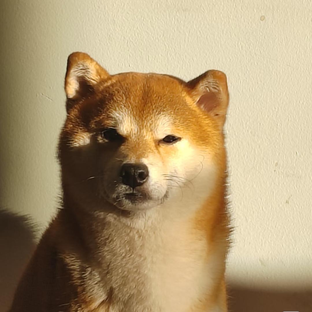 我很丑，可是我很刻薄