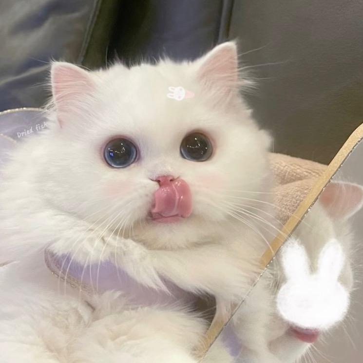 1113