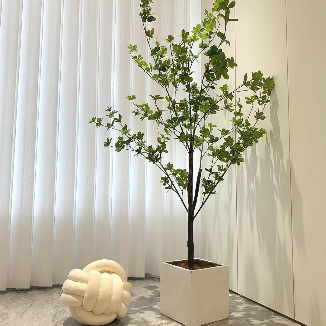 露露的耶