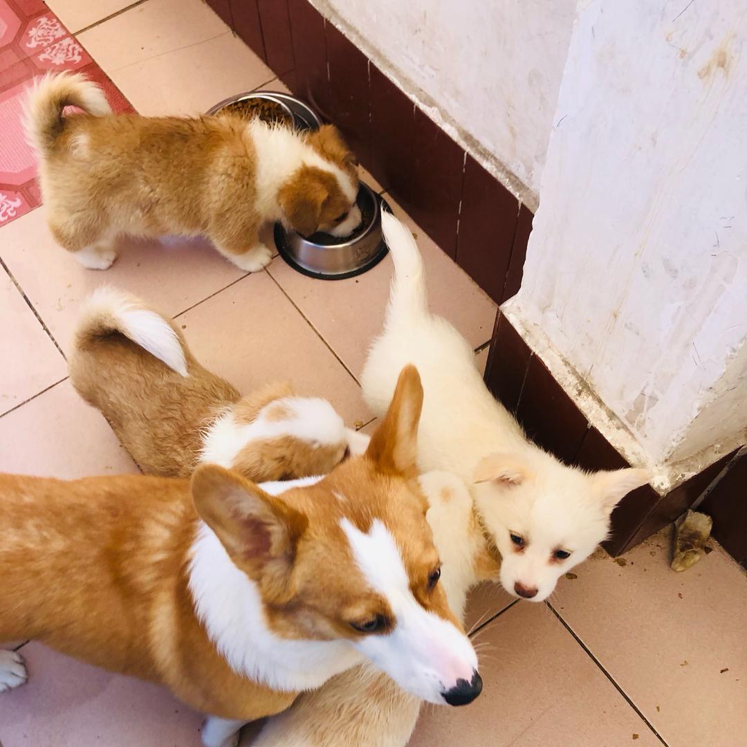 平凡人，平凡事