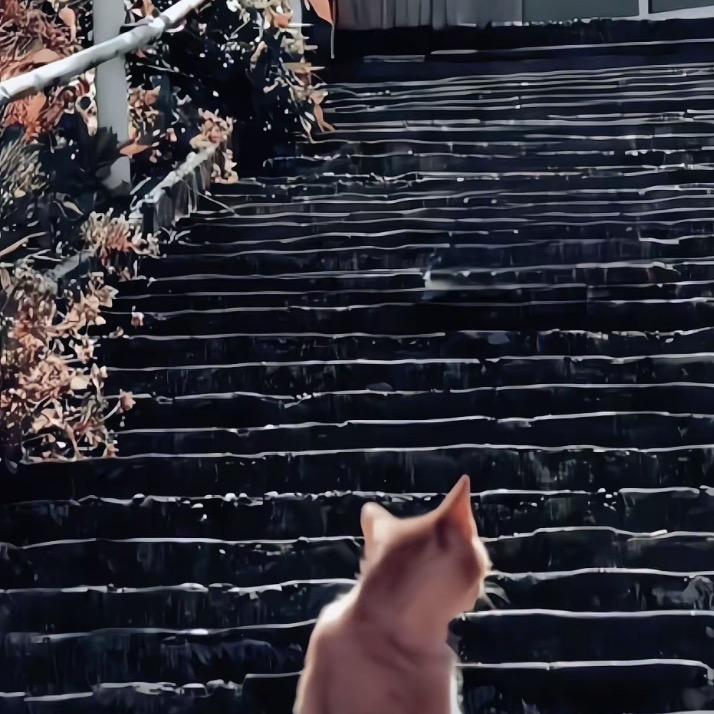@  十一