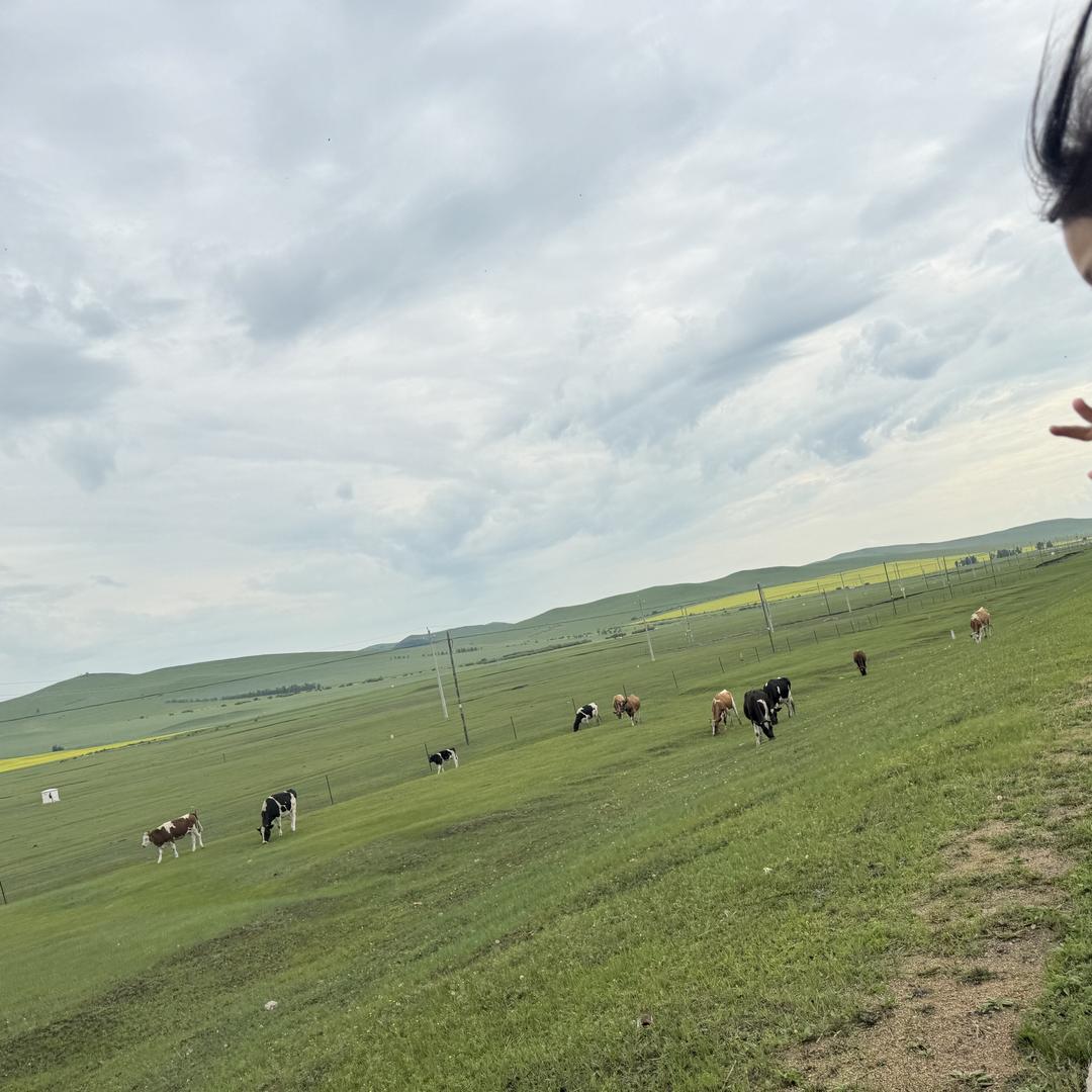 侯美丽的家乡美食