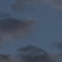 76548598308