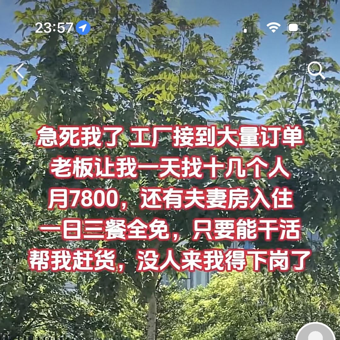 宇扬伦电子