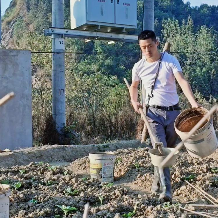 农村刘先生