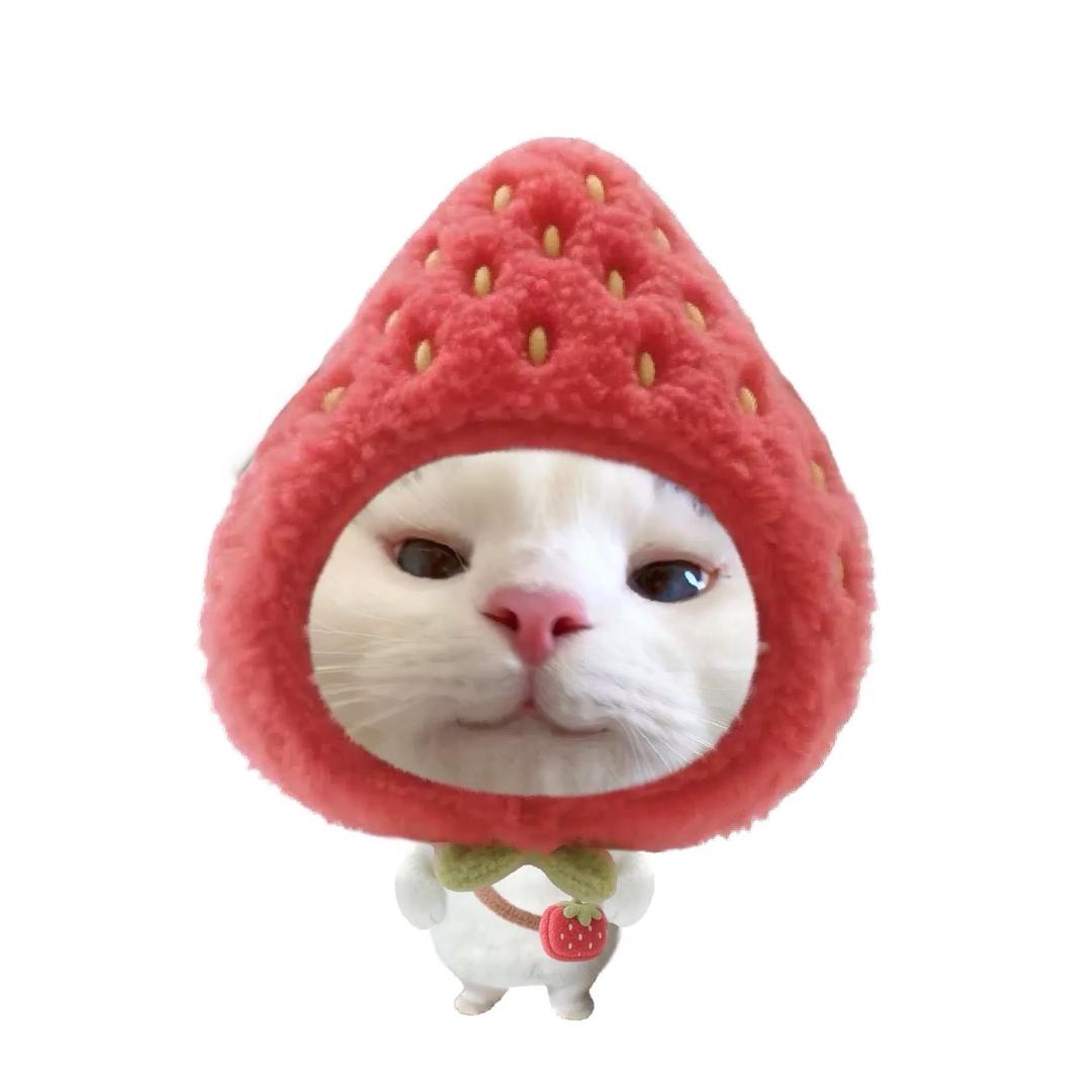 暖朵朵👑！
